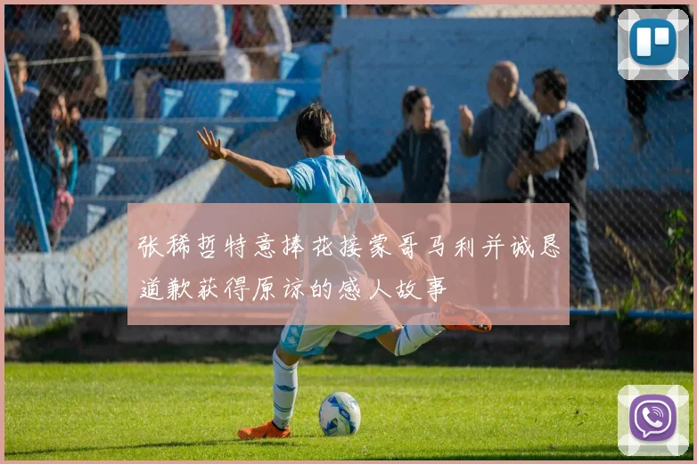 张稀哲特意捧花接蒙哥马利并诚恳道歉获得原谅的感人故事